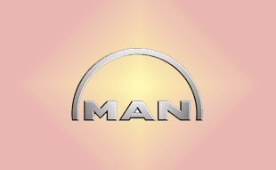 ✓ MAN 81.51260.6070 Запчасти МАН (MAN) 