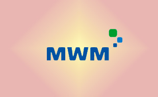 ✓ MWM 0336 4838 Запчасть MWM 